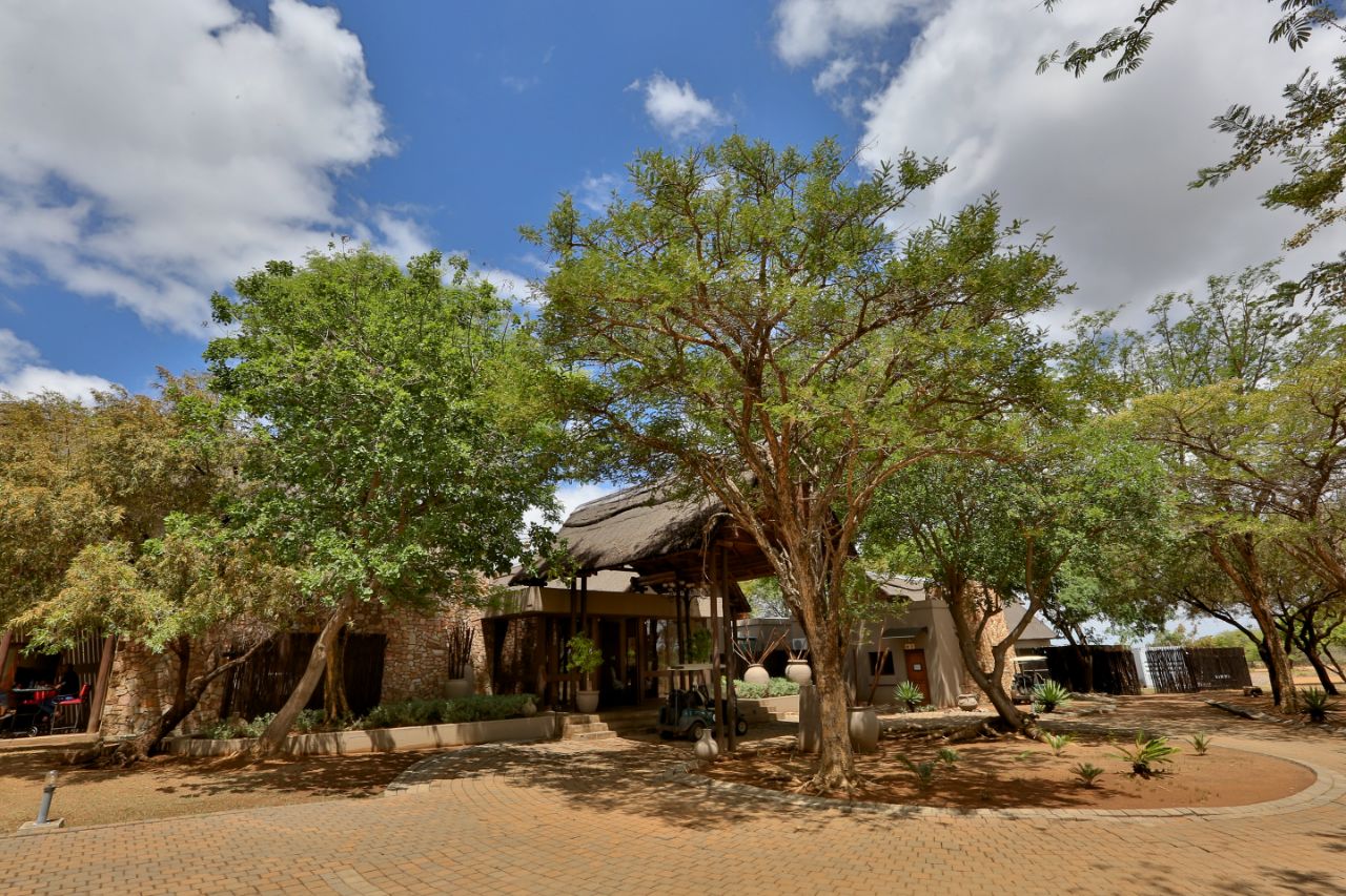 Waterberg Lodge (32)